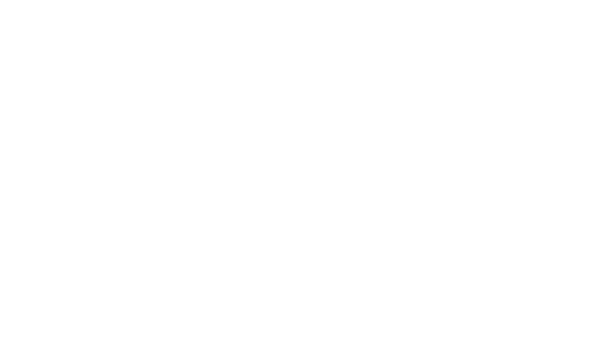 The Visa Doctor